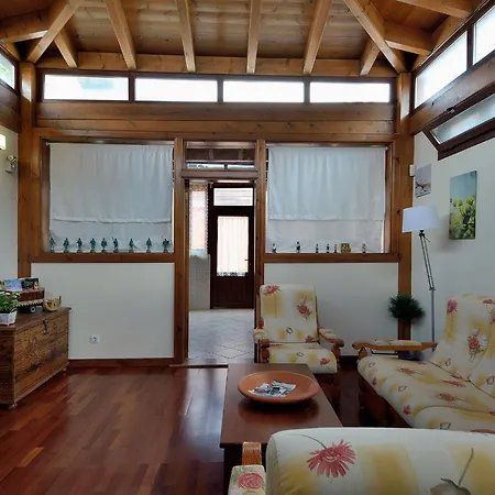 Nelida Peace Lovers Vegueta By Pvl *