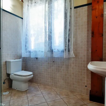 Nelida Peace Lovers Vegueta By Pvl