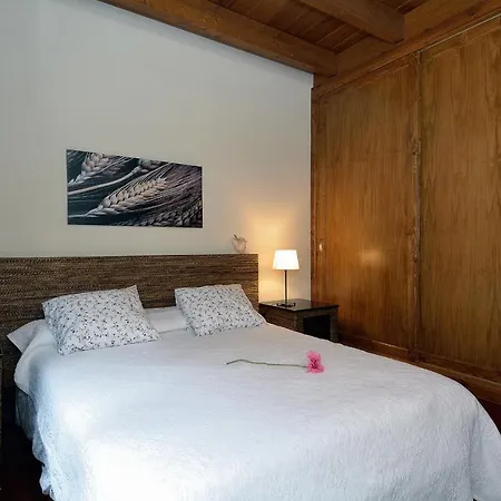 Nelida Peace Lovers Vegueta By Pvl * La Vegueta