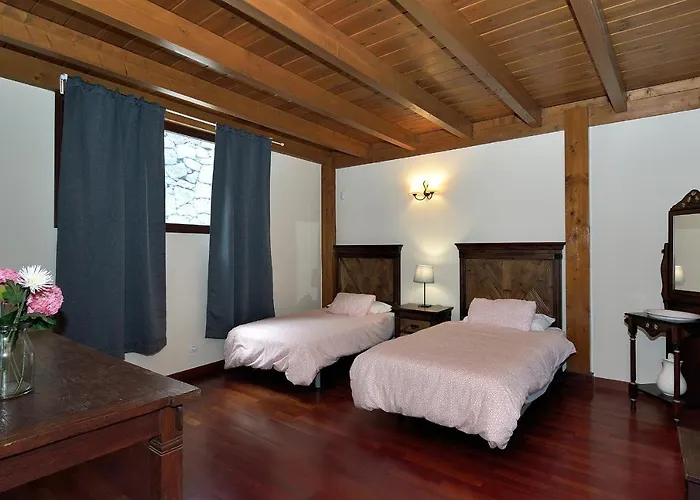 Nelida Peace Lovers Vegueta By Pvl La Vegueta