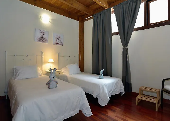 Nelida Peace Lovers Vegueta By Pvl