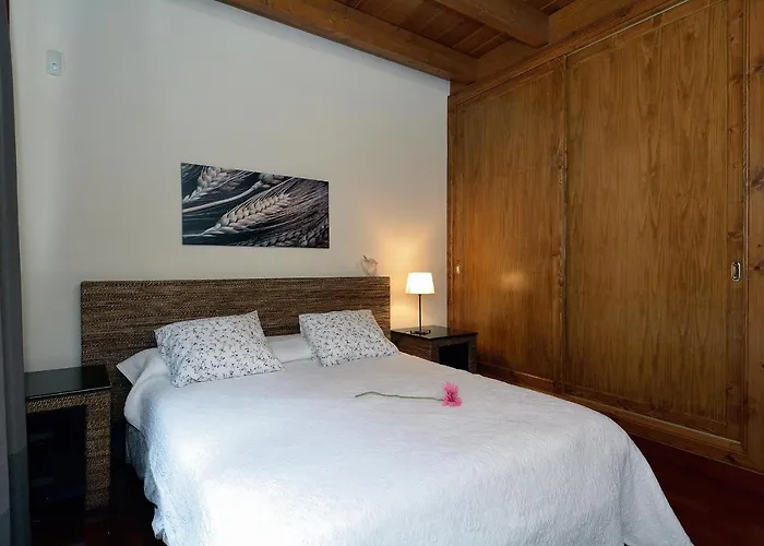 Nelida Peace Lovers Vegueta By Pvl * La Vegueta